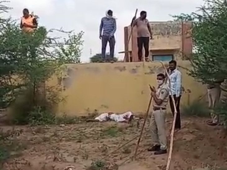 Bikaner napasar old man died after attack of nilgai, rajasthan latest ...