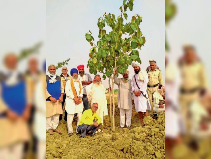In Sanatan Dharma, trees and plants are considered gods: Maharaj