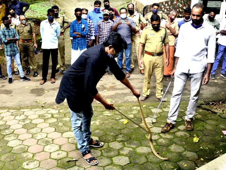 Kerala government imparts snake catcher training, jails and fine for 7