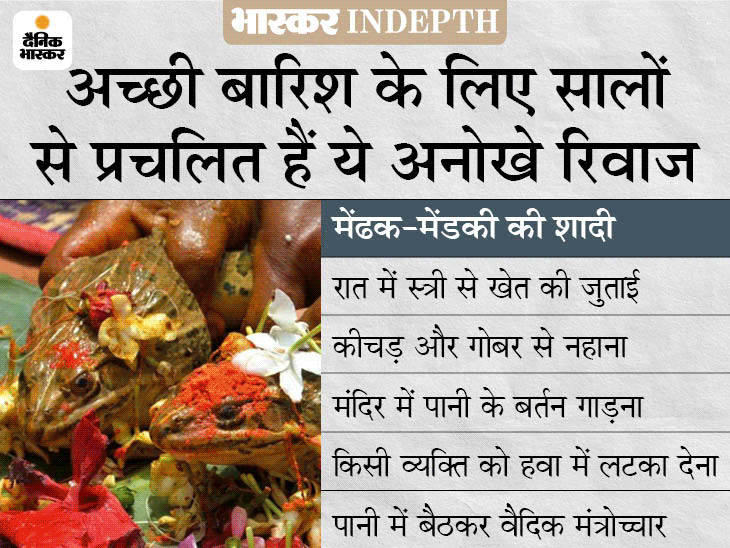 unmarried women plowing the field to the wedding of a frogfrog; Unique