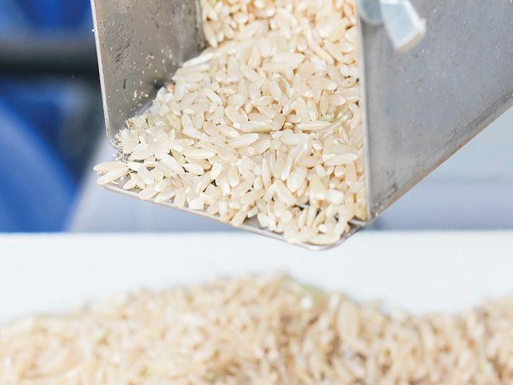 Police caught PDS's vehicle carrying government rice; 18 quintals of ...
