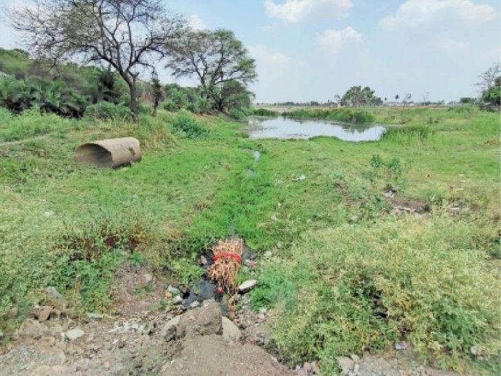 How the Silver Lake Vista building was built near the pond, only its