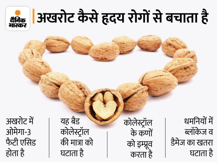Walnuts Akhrot Health Benefits; Reduces Risk Of Heart Disease And