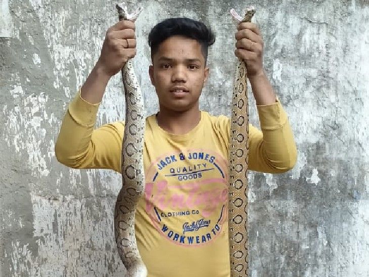 People panicked after seeing a pair of snakes near the temple, when ...