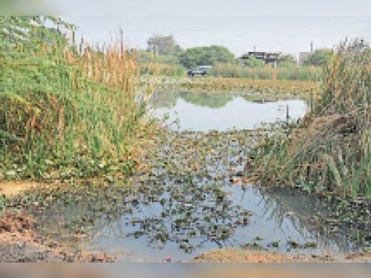 Gathering behind the collector's residence, housing board's sewerage