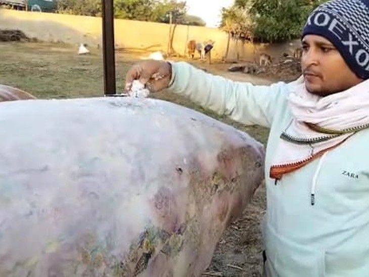 Minimum mercury rises by 1 degree, snow cover in the fields, Bhilwara ...