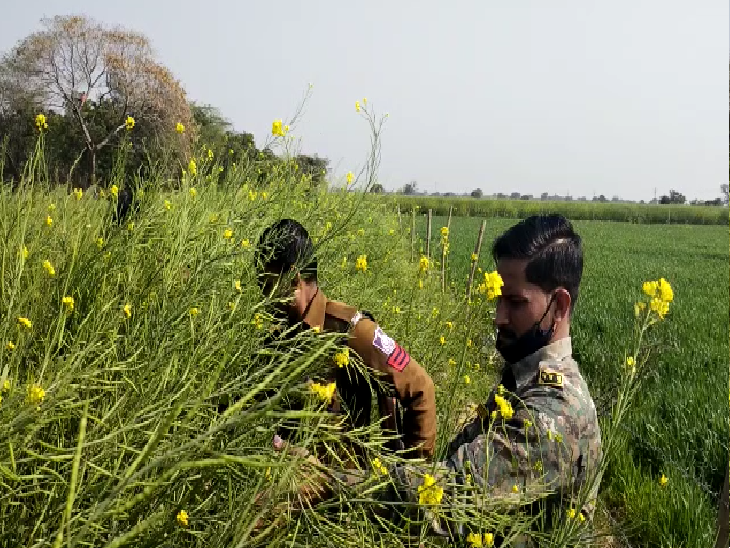 Villagers fired seven rounds, police conducted search operation for 3 ...
