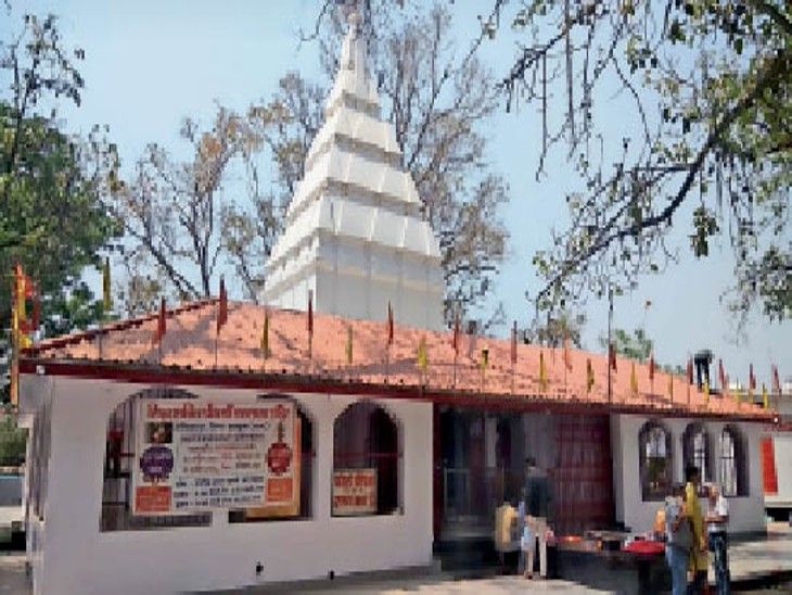 When Maa used to go to worship Mahamaya, the tiger used to sit, the king used to see it by removing it. | नवरात्र उत्सव: मां महामाया की पूजा करने जाते थे तो बैठा रहता था बाघ, इसे हटाकर दर्शन करते थे राजा - Ambikapur (Surguja) News | Dainik Bhaskar