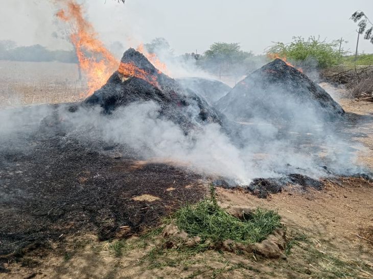 8 trolley fodder burnt, saved villagers from spreading fire | चारे के ...