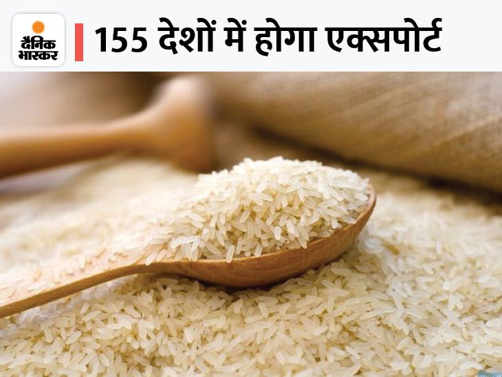 UP produces 30% Basmati, more new species will be produced without ...