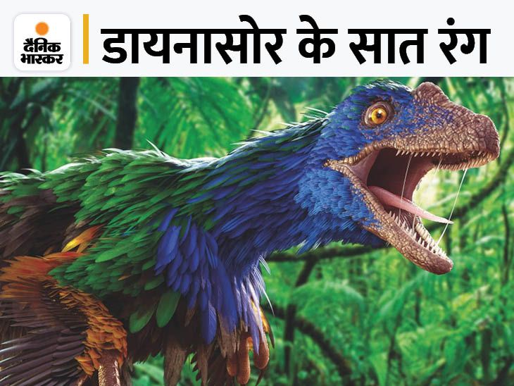 Research claims Dinosaurs were of bright colors, not faded colors shown ...