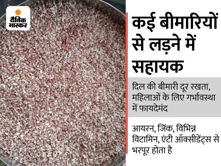 Red Rice Produced in in Shimla, which leaves oil in the plate when ...