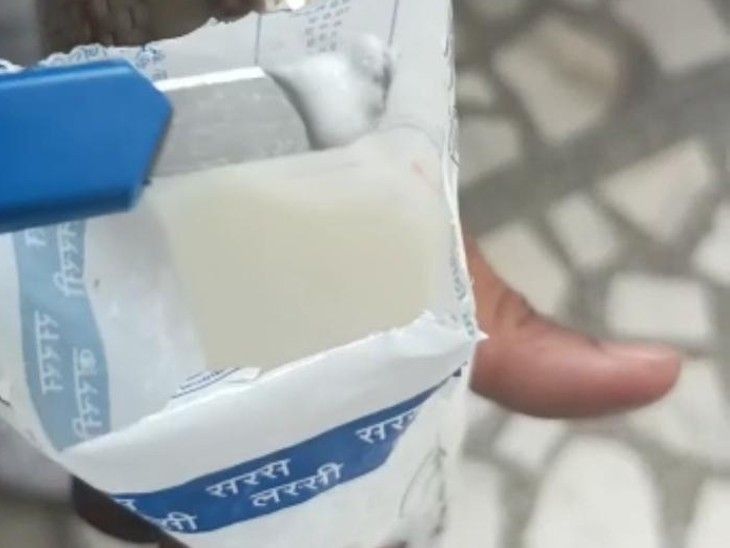 Rajasthan kota, Insects came out in the pouch of lassi, | लस्सी के पाउच ...