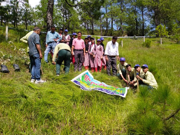 Mandi: Students of Churag School planted greenery in Karsog