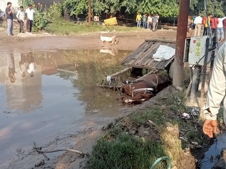 The tonga driver was scorched, the passengers were shocked बदायूं में