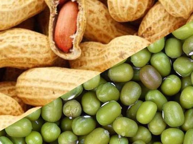 Rajfed will procure moong from November 1 and groundnut from November ...