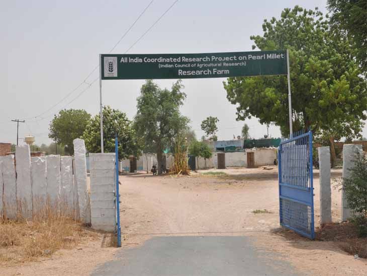 Rajasthan Crime News; Prisoner Escapes From Mandore Open Jail | Jodhpur ...