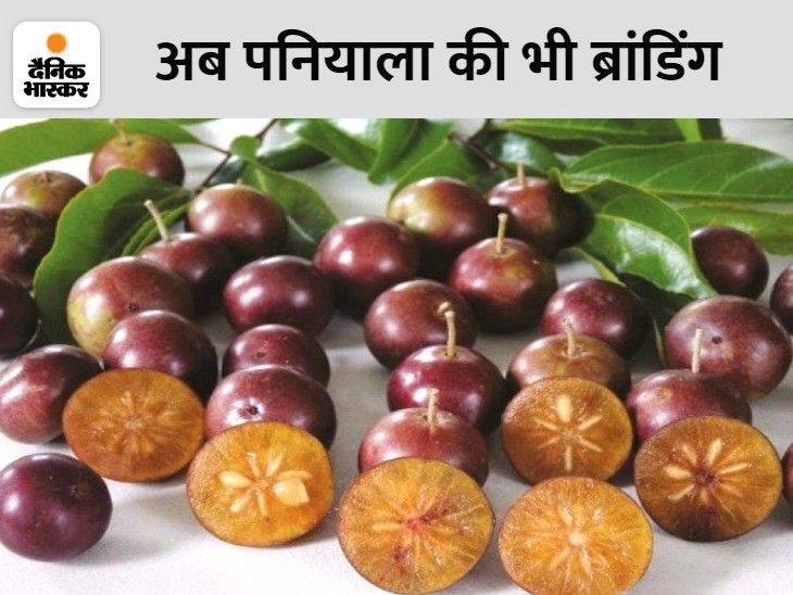 Yogi government will get Paniyala GI registered, like terracotta, the ...