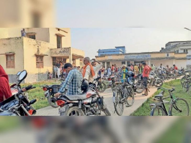 After a long wait, verified wheat seeds were distributed among 200 ...