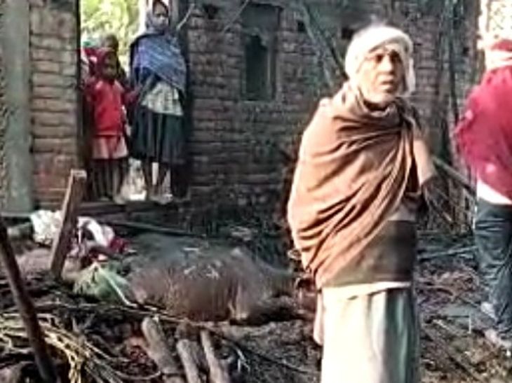 Three cows and other goods burnt, the fire was controlled after 2 hours ...