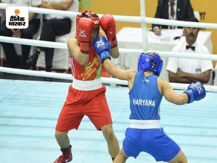 370 boxers will participate, including 12 from MP; will show the magic ...