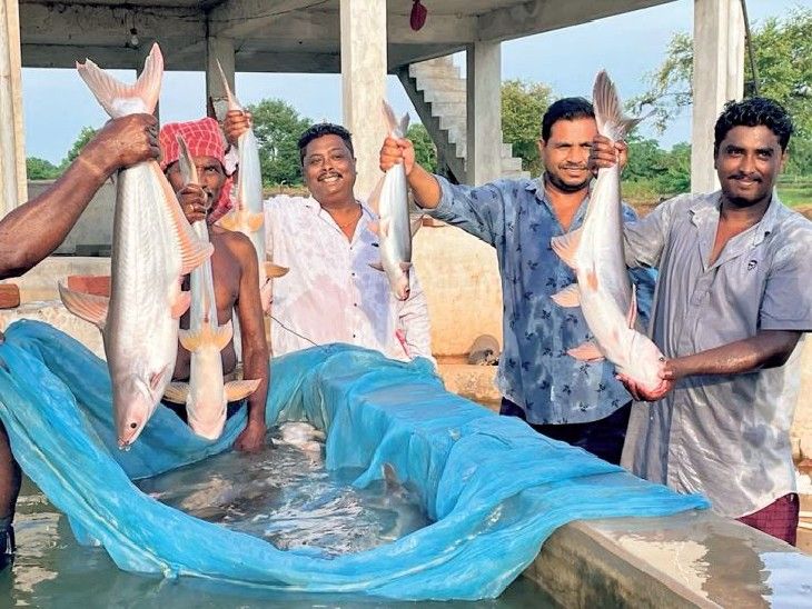 Chhattisgarh's cluster farming of fish is discussed in the whole ...