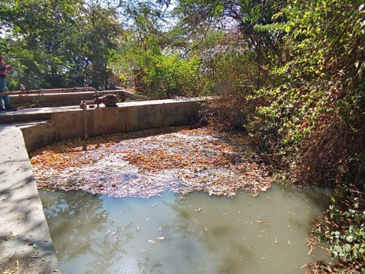 Due to carelessness in the colony without rain, the department slept in ...