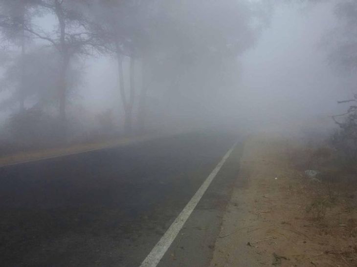 Dense fog since morning, night temperature five degrees Celsius | न्यू ...