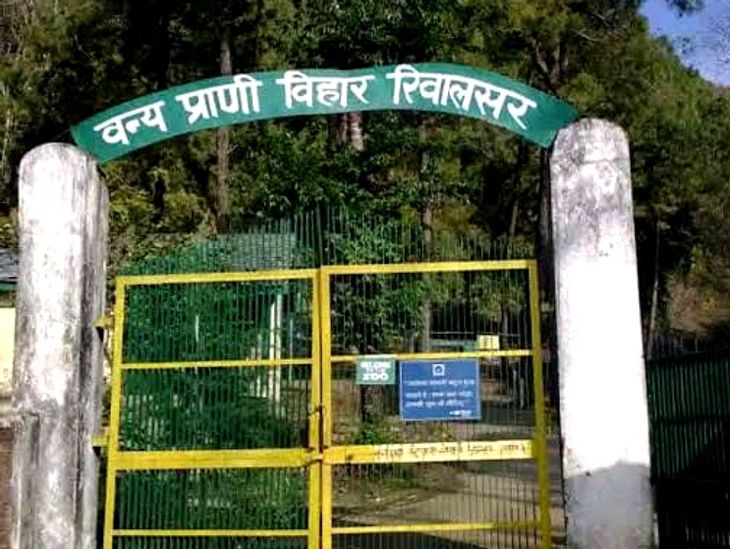 Mandi News : Rewalsar Zoo Chital Family, Haryana Wildlife Department ...