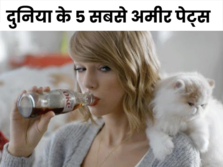 Gunther IV Net Worth; The World's Wealthiest Animal सबसे अमीर कुत्ते