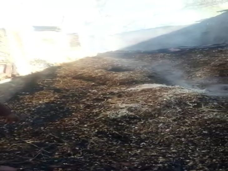 20 trolley fodder kept for animals burnt | पशुओं के बाड़े में लगी आग ...