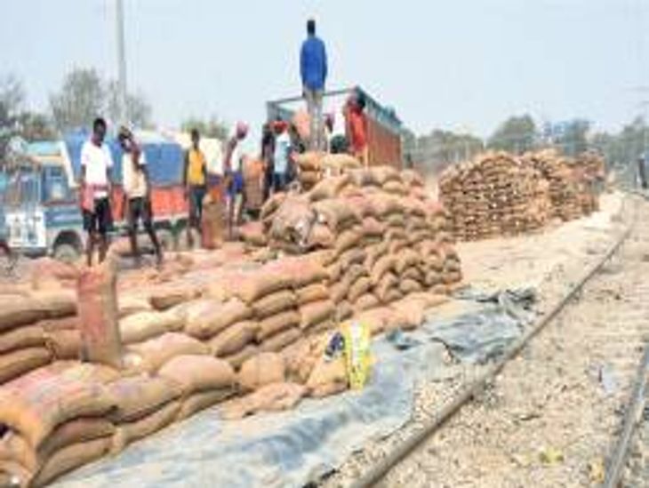 Dust-pebbles in the food of school children, to avoid paying damages ...