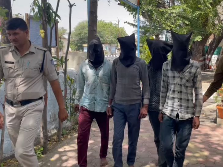 7 absconding had committed theft in the fields of three farmers Goat