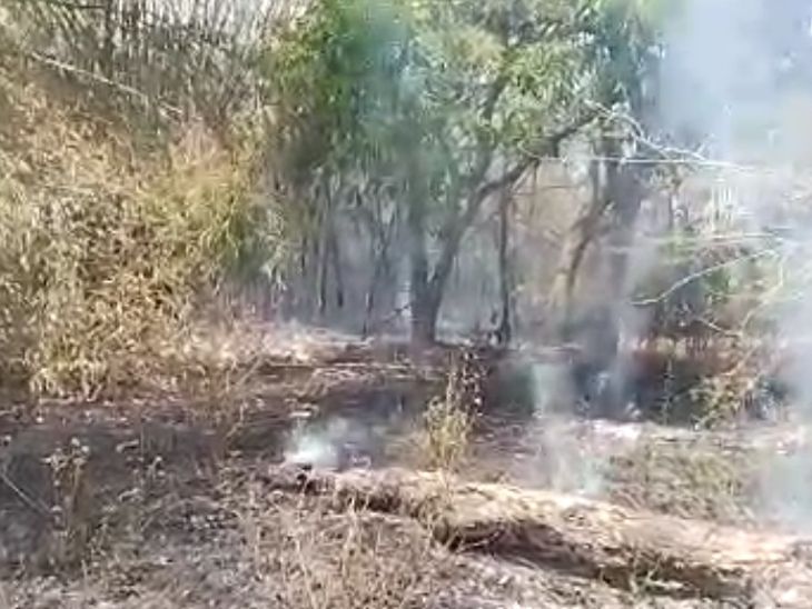The flames reached the Bamboo Kothi, 3 vehicles of the fire brigade ...