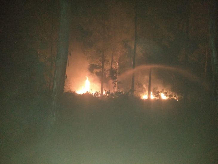 Fierce fire broke out in the trees standing on the banks of the Ganga ...