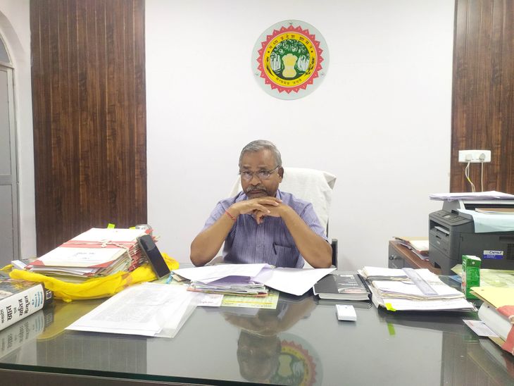 Collector appointed additional collector as investigation officer, said ...