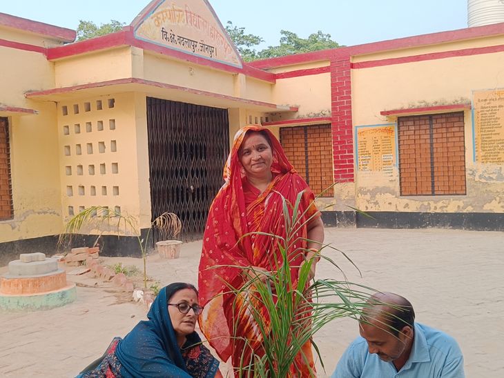 Planted saplings, took a pledge to protect them. Gave the message of ...