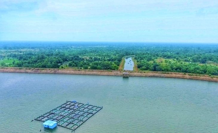 The water here is reaching Tandula: a gate of Gondli reservoir will be ...
