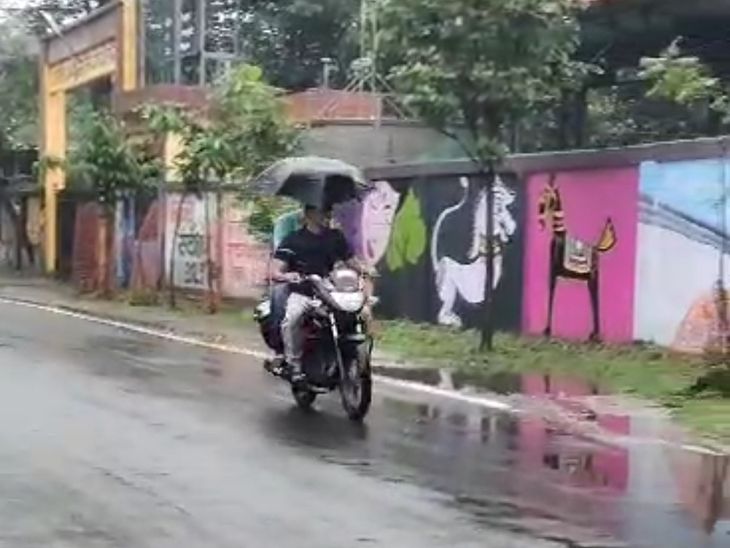 Alert of moderate to heavy rain in Betul. Five gates of Satpura were