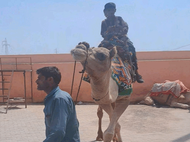 Tourists enjoying boating and zip line at Kaylana Lake in Jodhpur
