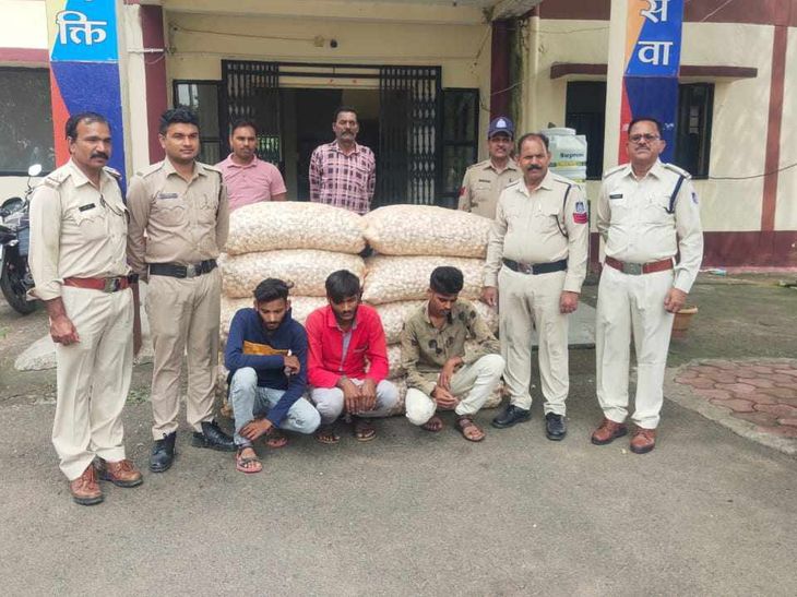 Dhar- Rajod police got success in the case of garlic theft worth ...