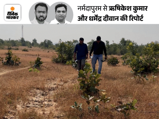 Impact of Dainik Bhaskar news | दैनिक-भास्कर की खबर का असर: मुख्यनिर्वाचन आयुक्त द्वारा प्रशंसा किए पोलिंग बूथ पर बहिष्कार की आग, कलेक्टर-एसपी ने लगाई चौपाल - narmadapuram (hoshangabad) News | Dainik Bhaskar