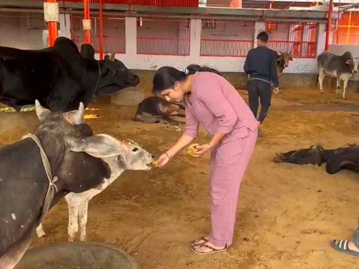 Celebrated death anniversary by donating blood and feeding jaggery to