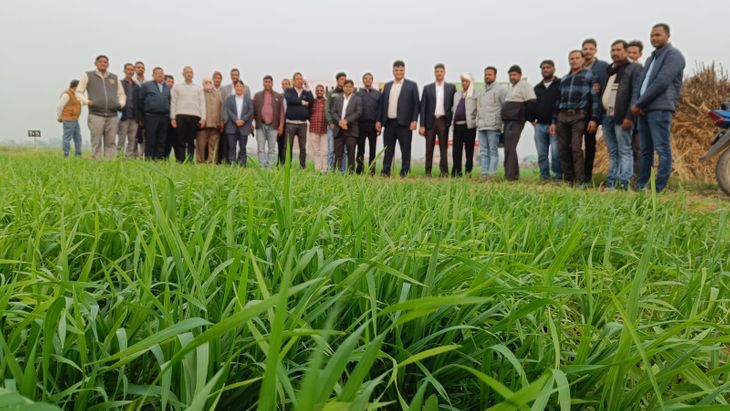 Farmers should increase crop production by promoting the use of organic ...