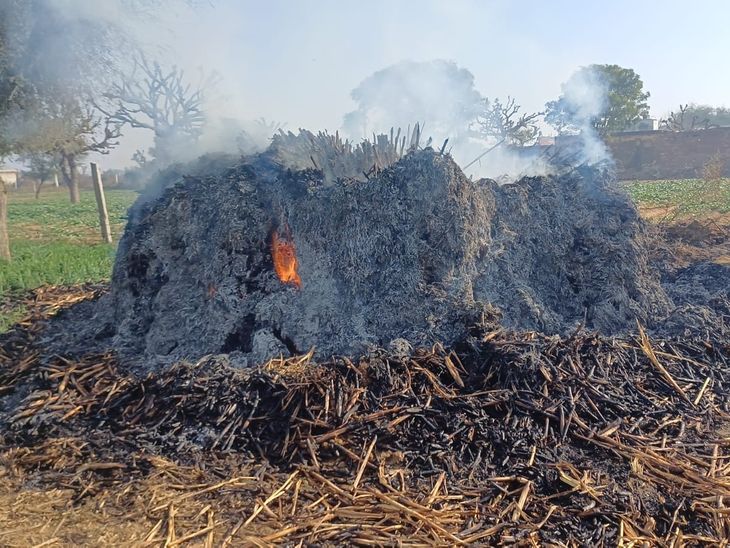 7 quintals of animal fodder burnt due to fire in Singhana | सिंघाना में ...