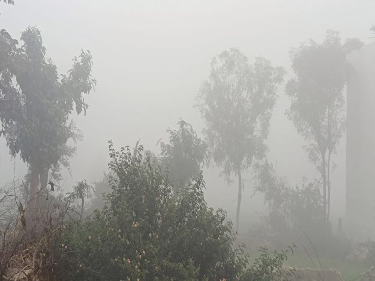 Dense fog in Alwar: VIDEO | अलवर में घना कोहरा: VIDEO: कुछ जगहों पर विजिबिलिटी 50 भी नहीं, कोहरे के साथ शीतलहर भी - Alwar News | Dainik Bhaskar