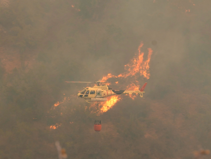 City after city destroyed by wildfire | जंगल की आग से शहर के शहर तबाह: 46 लोग जिंदा जले, 1100 से ज्यादा घर खाक, राष्ट्रपति बोले – आग बुझाने में वक्त लगेगा