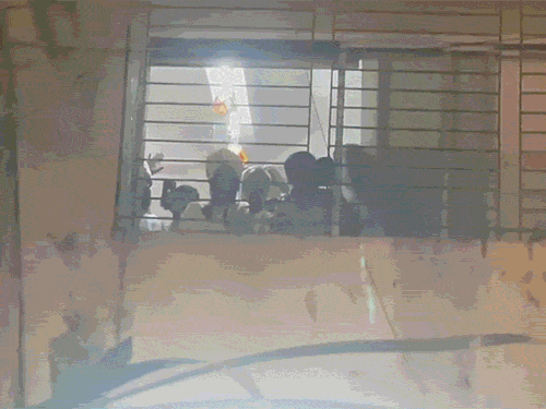 Maulana Azhari, who gave hate speech, arrested from Mumbai | भड़काऊ भाषण देने वाला मौलाना अजहरी मुंबई से गिरफ्तार: हजारों समर्थक जुटे, पुलिस ने लाठीचार्ज किया; मौलाना को जूनागढ़ ले गई गुजरात ATS