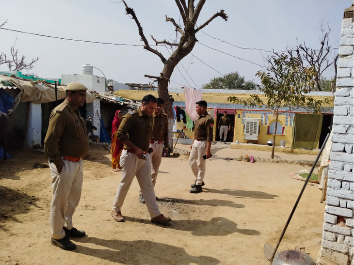 Alwar Cow Smuggling String Operation; Cow Meat Supply Racket Busted ...