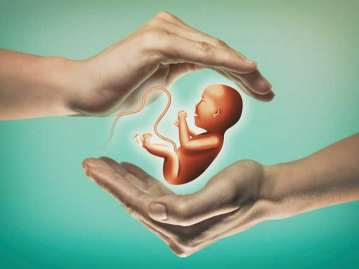 Surrogacy Rule Changes Update; Donor Egg/Sperm, Widows, and Divorcees | सरोगेसी में डोनर एग या स्पर्म का इस्तेमाल कर सकेंगे: सरकार ने नियम बदला; विधवा-तलाकशुदा महिलाओं को भी राहत